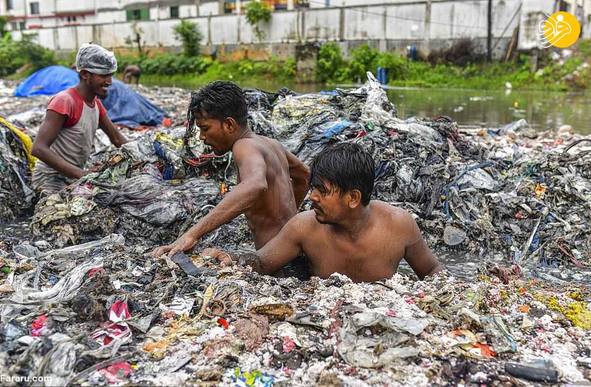 سرانه تولید پسماند خانگی