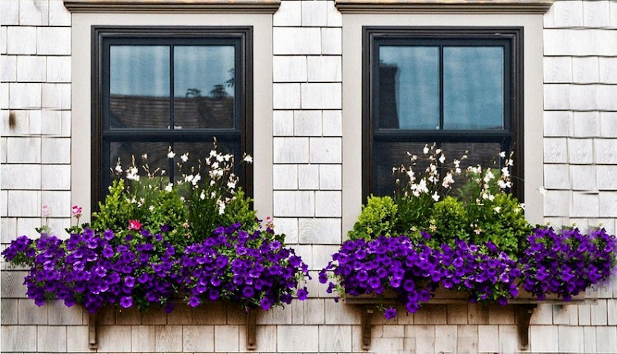 فرهنگ آپارتمان نشینی