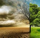 آتش بر جانِ زندگی