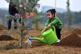 به بَهانه‌ی هفته‌ی درختکاری