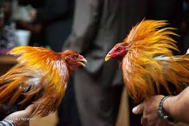 سوداگرانِ جنگ به پیله‌ورانِ تَحریم‌ها پیوستند!