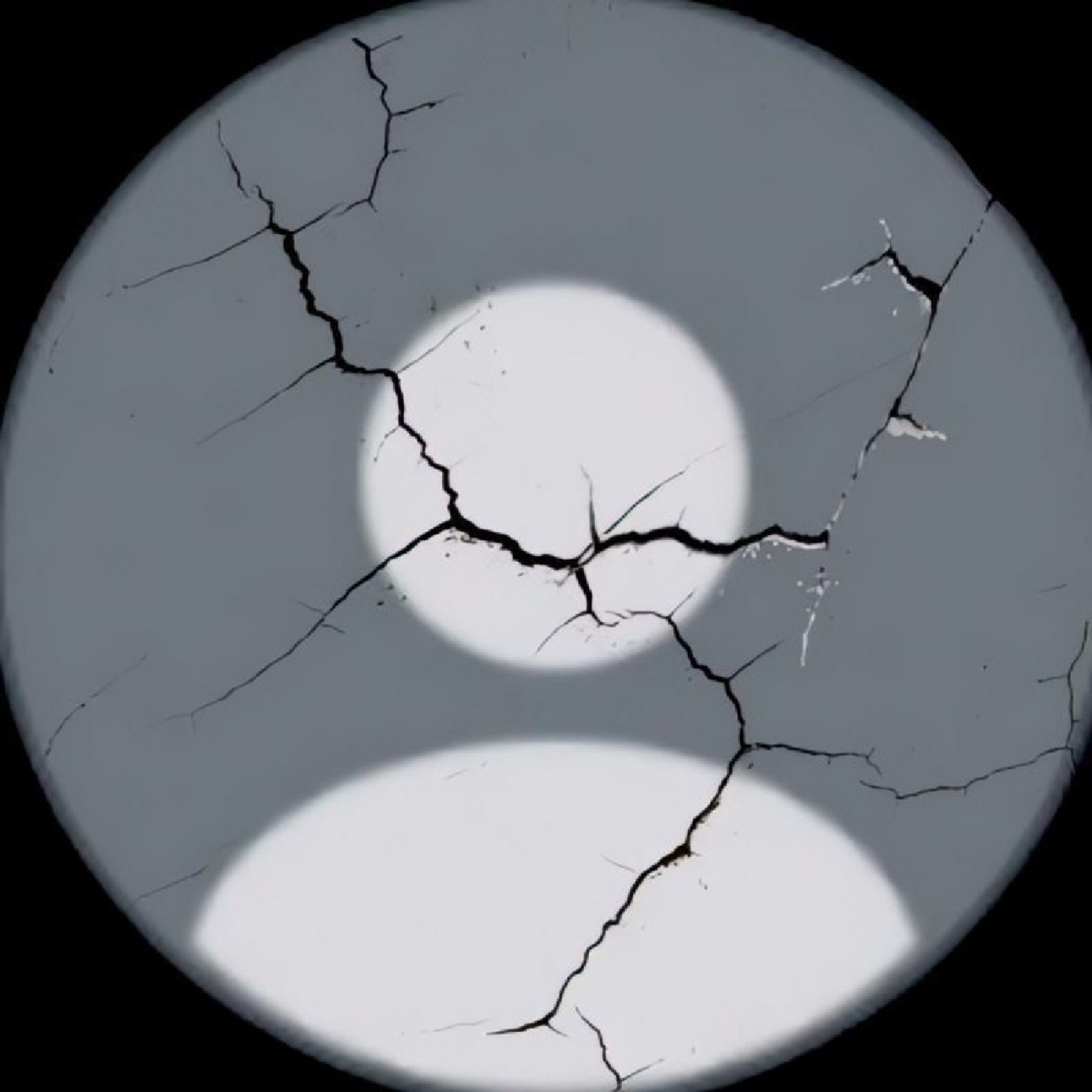 دادخواهی با خویش خوارپِنداری ناسازگاری دارد