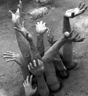 نادانی گَنج است!