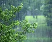 در حسرت باران / ترانه