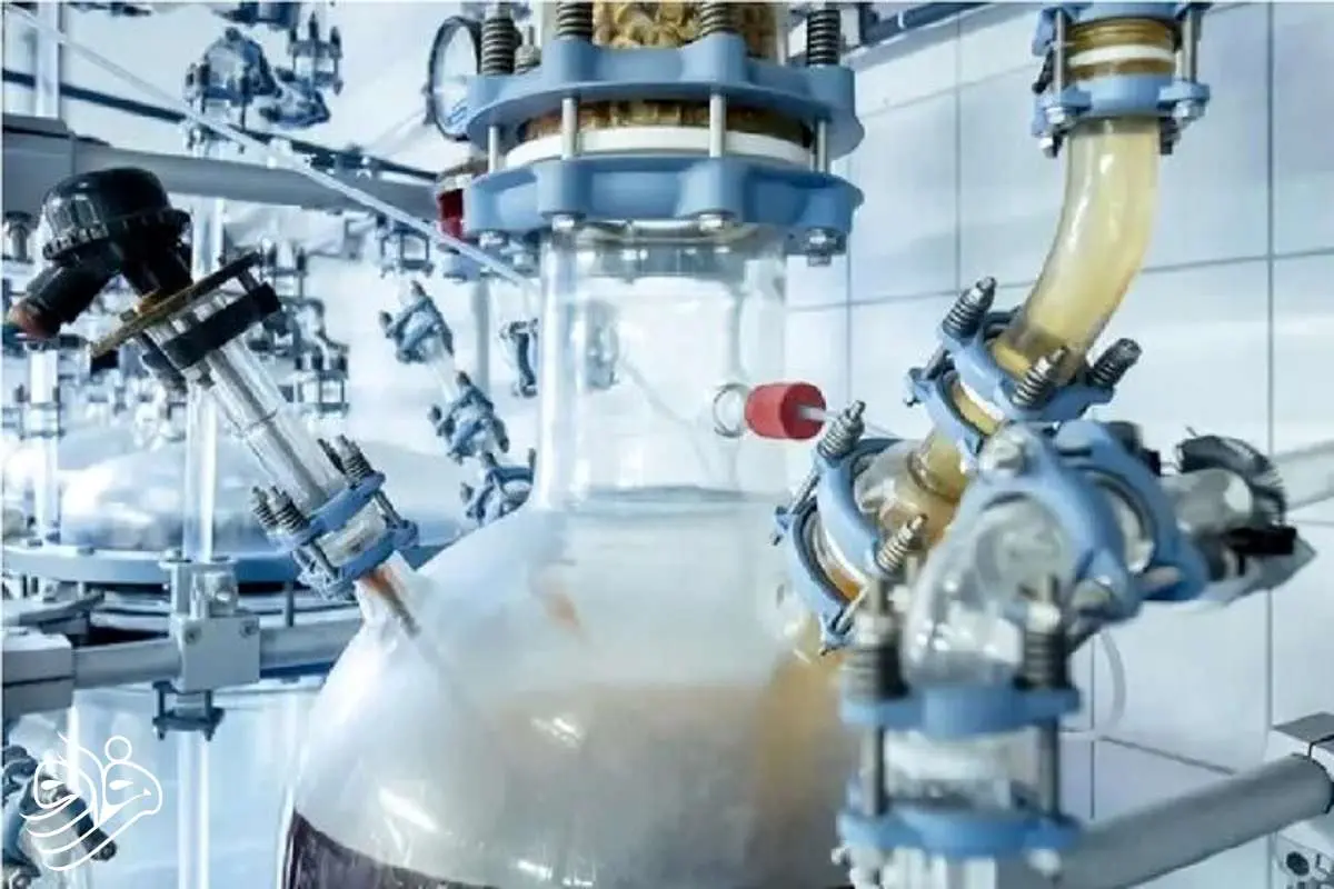 زباله‌ها خوردنی شدند!