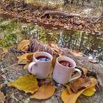 شعری از شمس لنگرودی