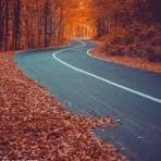 محمد معتمدی / ترانه